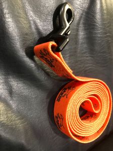 Bright Orange Dog Leash 5 Feet