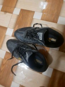 Puma Shoes