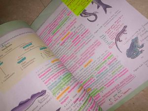 Class 11 And 12th Biology Ncert