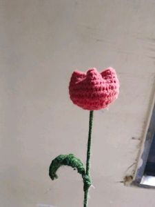 Tulip 🌷