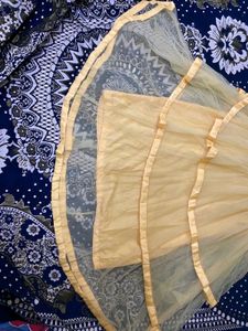 Elegant Gold Embroidered Dress