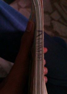 Geronimo Stilton-The Stone Of Fire (Rare Edition)