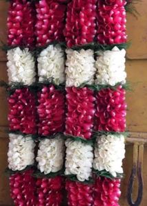 Gift Flower
