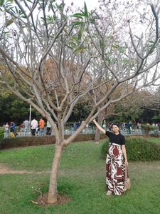 Long Skirt