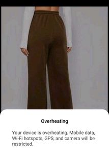 beautiful flared pant for women
