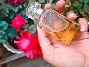 Hermes Le Jardin de Monsieur Li