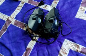 Speaker