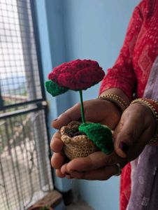 Crochet Flower Potted Plant