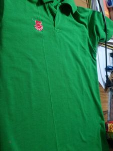 Green Tshirt New Panjtan