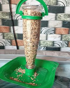 Bird Feeder