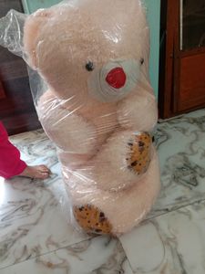 Cash 600 Teddy Bear Special For Valentine