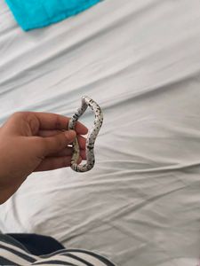 Stylish Speckled Bracelet