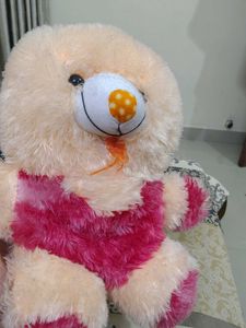 Cute Plush Teddy Bear