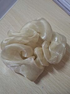 Two Stylish Scrunchies