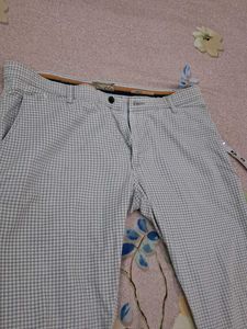 Checked Casual Pants
