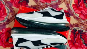 Campus Running Shoes