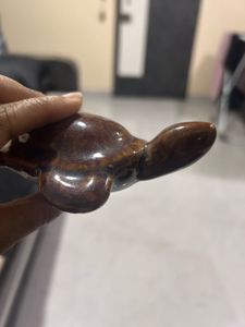 Turtle - Small Showpiece