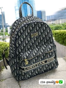 IMPORTED 12AA QUALITY DIOR BAG PACK