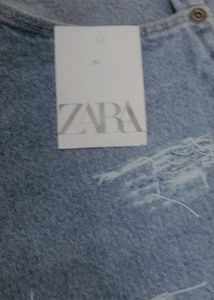 Zara Distressed Denim Shorts