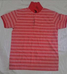 Striped Polo Shirt
