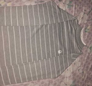 Turtle High Neck Sweater