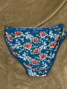 Panty-Used