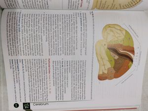 Human Physiology (CC Chatterjee) Volume 1&amp;2