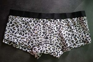Leopard Print mesh transparent Briefs