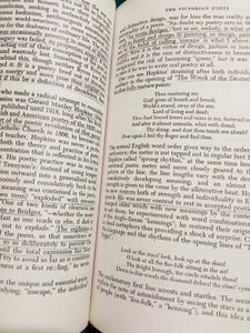 Rare Book: A critical History Of English Literatur