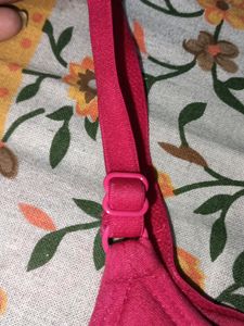 Hot 🔥 Pink 🩷 Padded Bra
