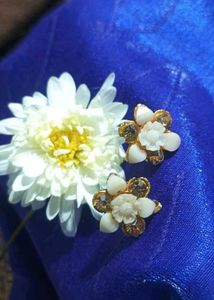 Butterfly Hair Clip &amp; Stud Earrings