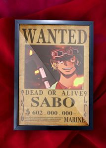 SABO Dead or Alive Wall Frame 1 Pcs for Anime Fans