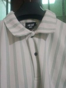 T Shirt With New Collection