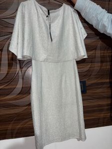 Sparkly Silver Body on Dress Brand New