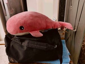 Stuff Toy Fish
