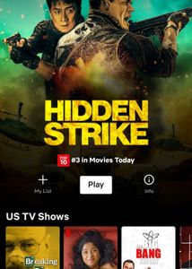 Netflix Premium 1 Month Pack Available