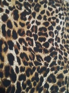 leopard benande