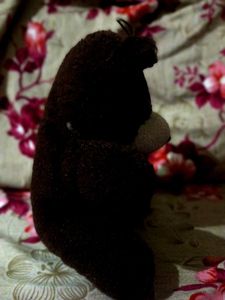 Cute Teddy Bear