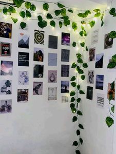 Artificial Money Plant