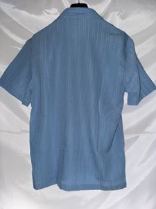 Blue Striped Shirt