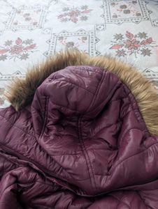 US Polo Puffer Jacket