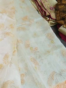 Saree Without Blouse
