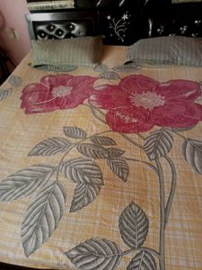 Elegant Bedsheet with 2 pillows