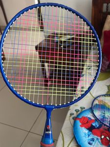 Two Badminton Kids Racket - Spider Man