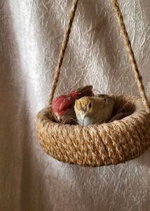 Boho Bird Nest Wall Hanging