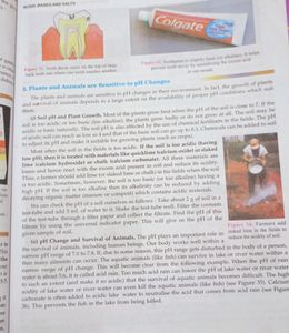 Chemistry Book For Class 10th