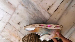 Light Shoes