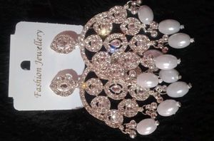 Stunning Silver Tone Dangle Earrings