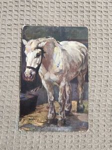 Vintage Horse Art Postcard From Tucks London