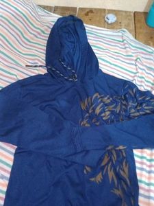 Blue Graphic Hoodie Size (L)
